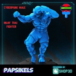 Cyberpunk Muay Thai Fighter...