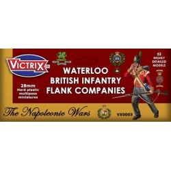 Waterloo British Infantry...