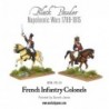 Black Powder Mounted Napoleonic French Infantry Colonels