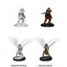 D&D Nolzur's Marvelous Miniatures: Aasimar Fighter
